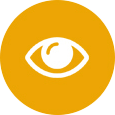 orange vision